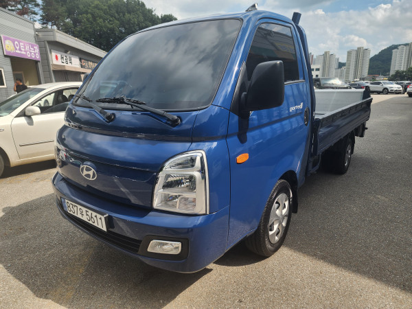 뉴포터2 일반캡 LPG 리프트